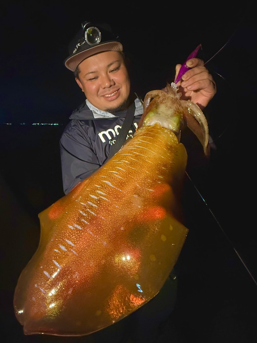 yu_fishing tweet media