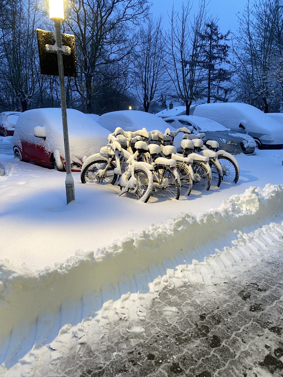 bigleggies tweet media