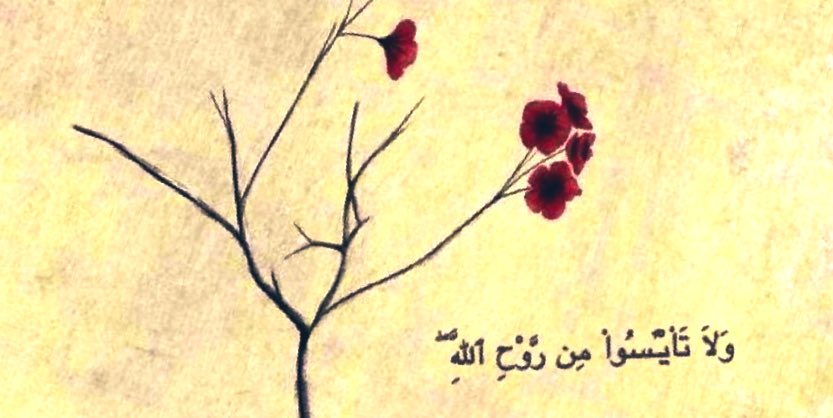 shm_rayz's tweet photo. “And do not lose hope in the mercy of Allah.”

Al-Quran~ 12:87 https://t.co/LL0xYWrkG3