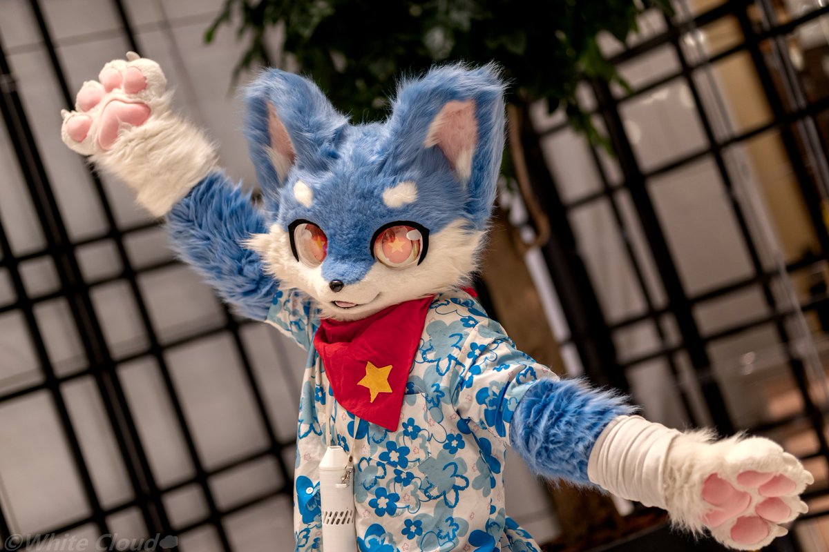 MilkCandyQwQ's tweet photo. 春节去你家吃饭w～！
#FursuitFriday 
#毛毛星期五 https://t.co/CBgZQA7L8x