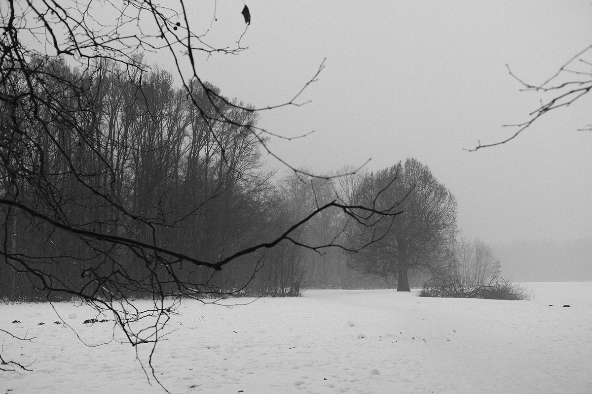 Fernando Forero tweet media