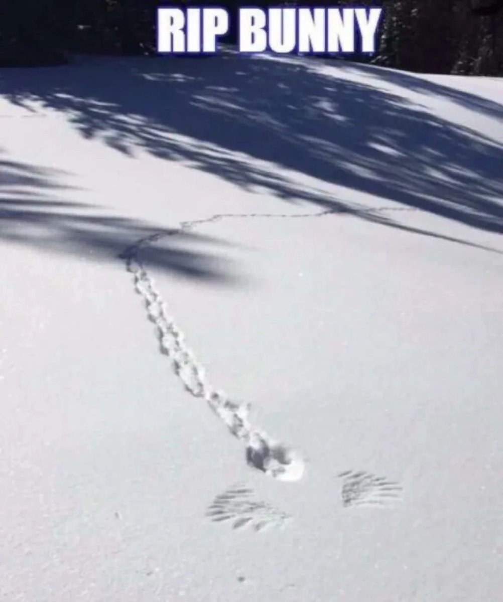 Mens_Corner__ tweet media