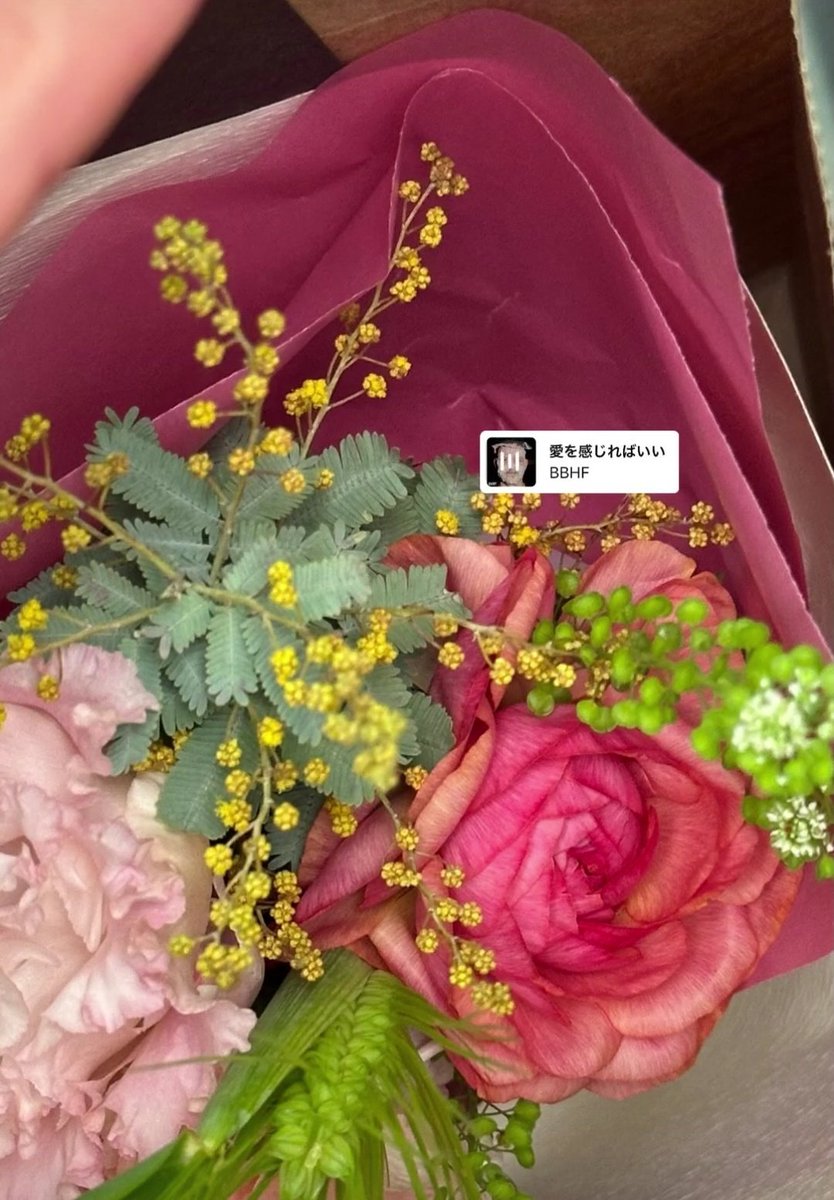 jossguinzly's tweet photo. got handed bad news and was super down the past 2 days but then #humi posted ig stories with matching bouquet so now life's good again 🩷 

#TheBoyfriendSeason2 #Bomi #Huwei https://t.co/MAdKmd2un0