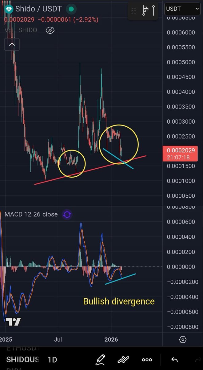 Why is <a href="/ShidoNetwork/">Shido</a> showing strength during this macro correction?  👀📈 🤔