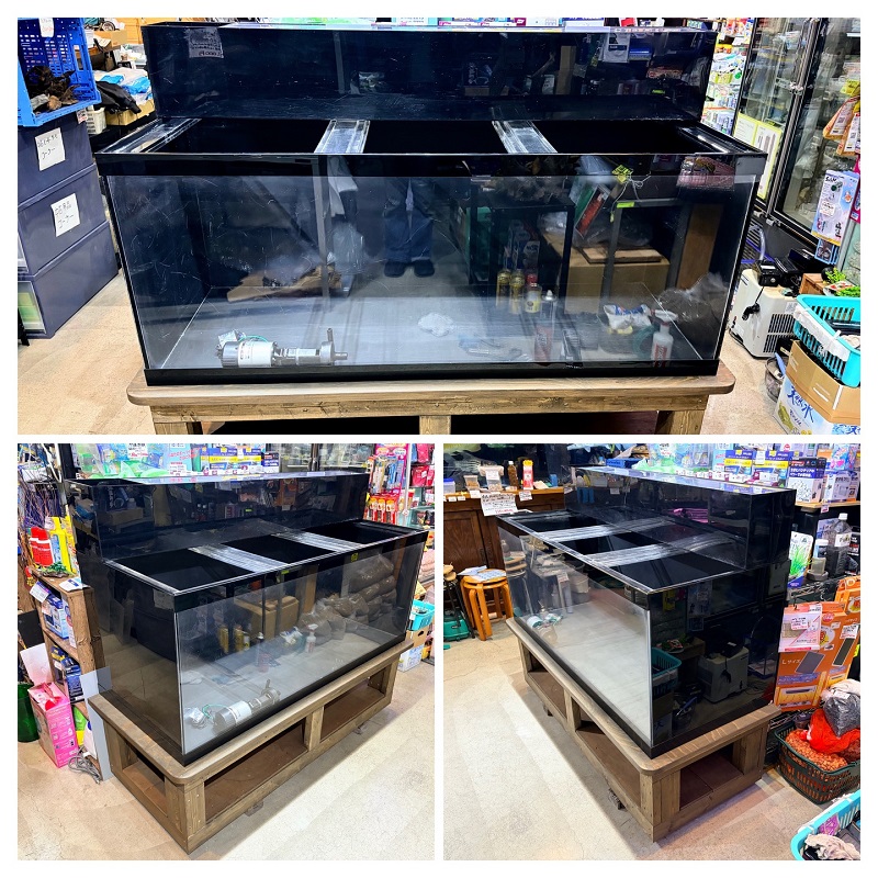 先日ご紹介の1500×600×600・4面ブラック水槽セットも無事に渋川市Uさん