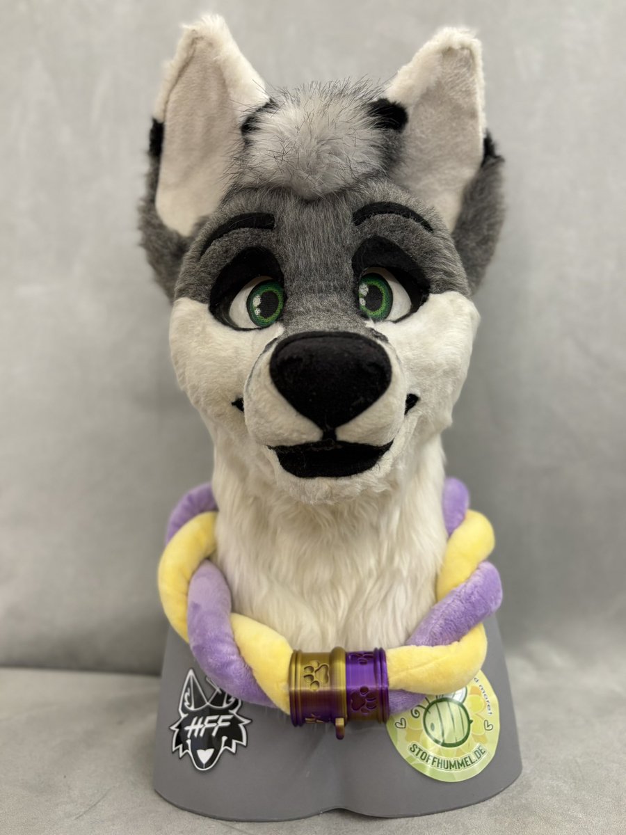 KitsukoFR tweet media