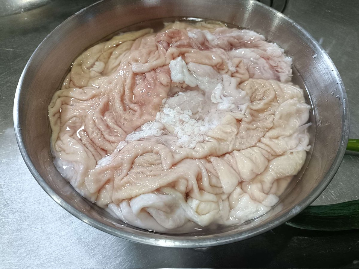 柿たぬき (@persimmonracdog) / Posts / X