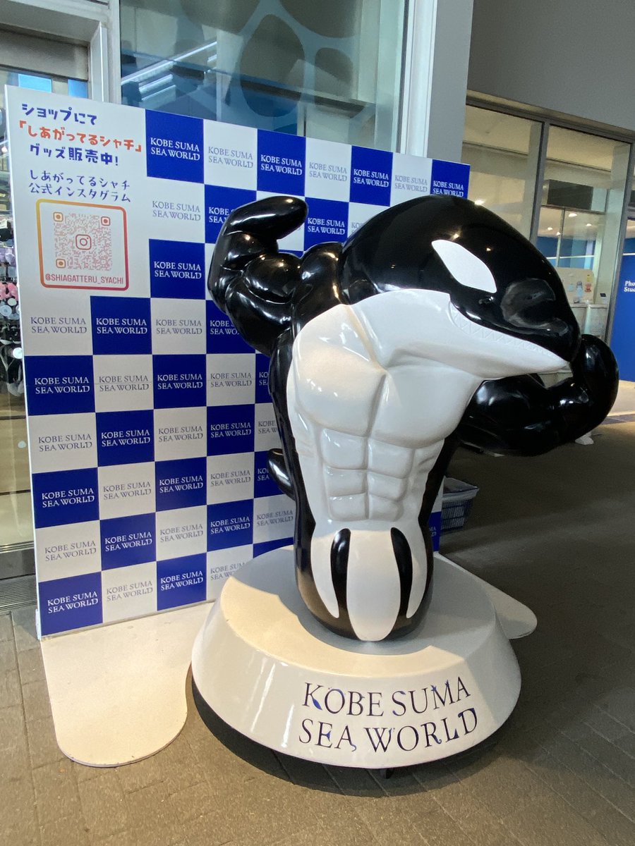 🐢まぁちゃん🐢 (@mapippi031456) / Posts / X