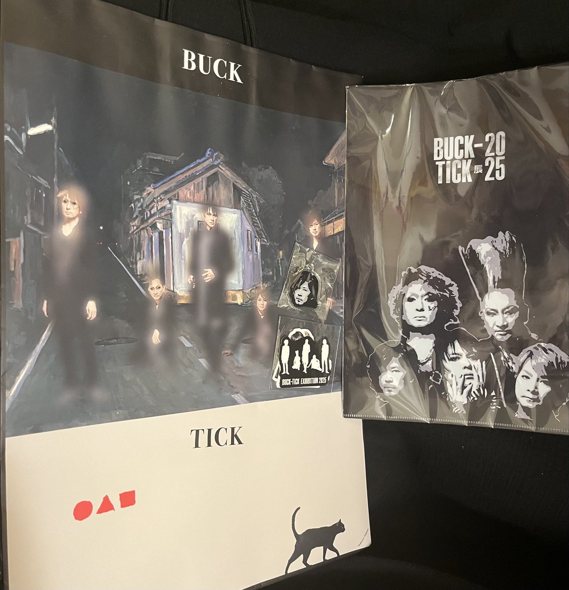 BUCK-TICK クリアケース12枚セット BUCK∞TICK展にて 黒主さんの作品はBUCK∞TICK玉でヒデさんのアクキー