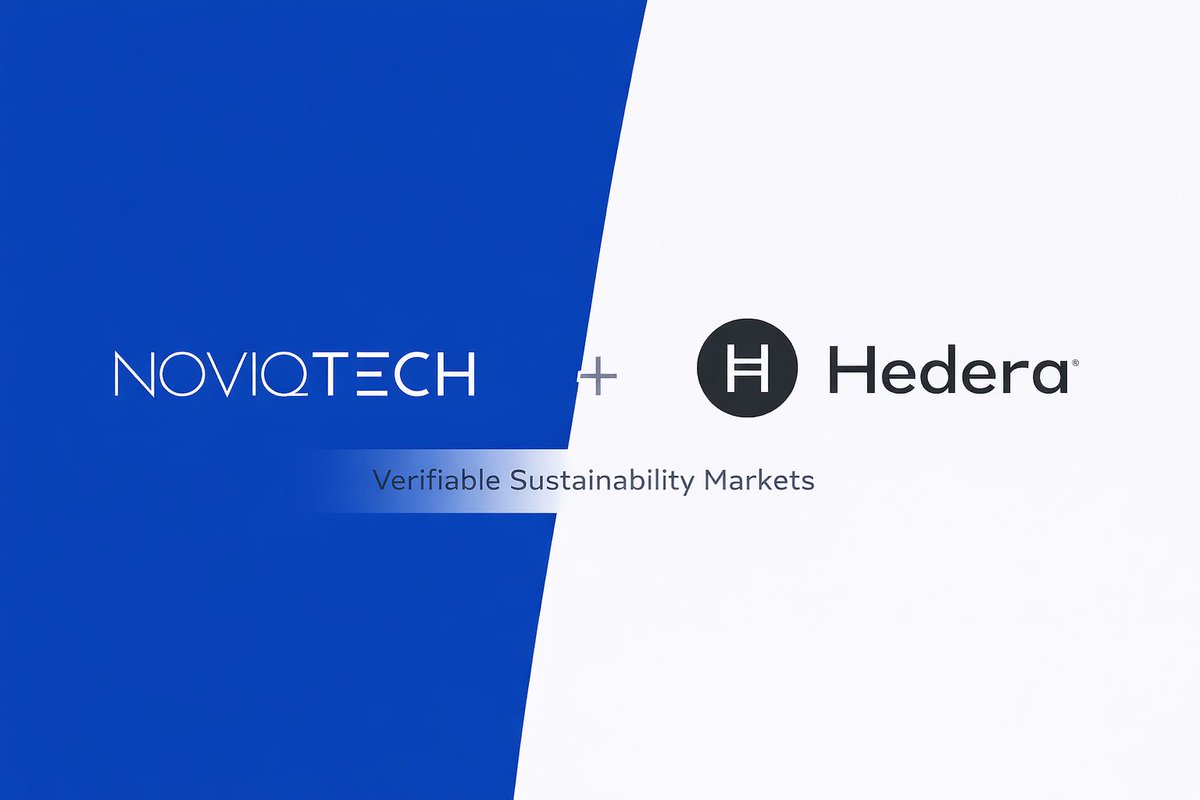 Marco Ħ 🇩🇪🇻🇪 tweet media