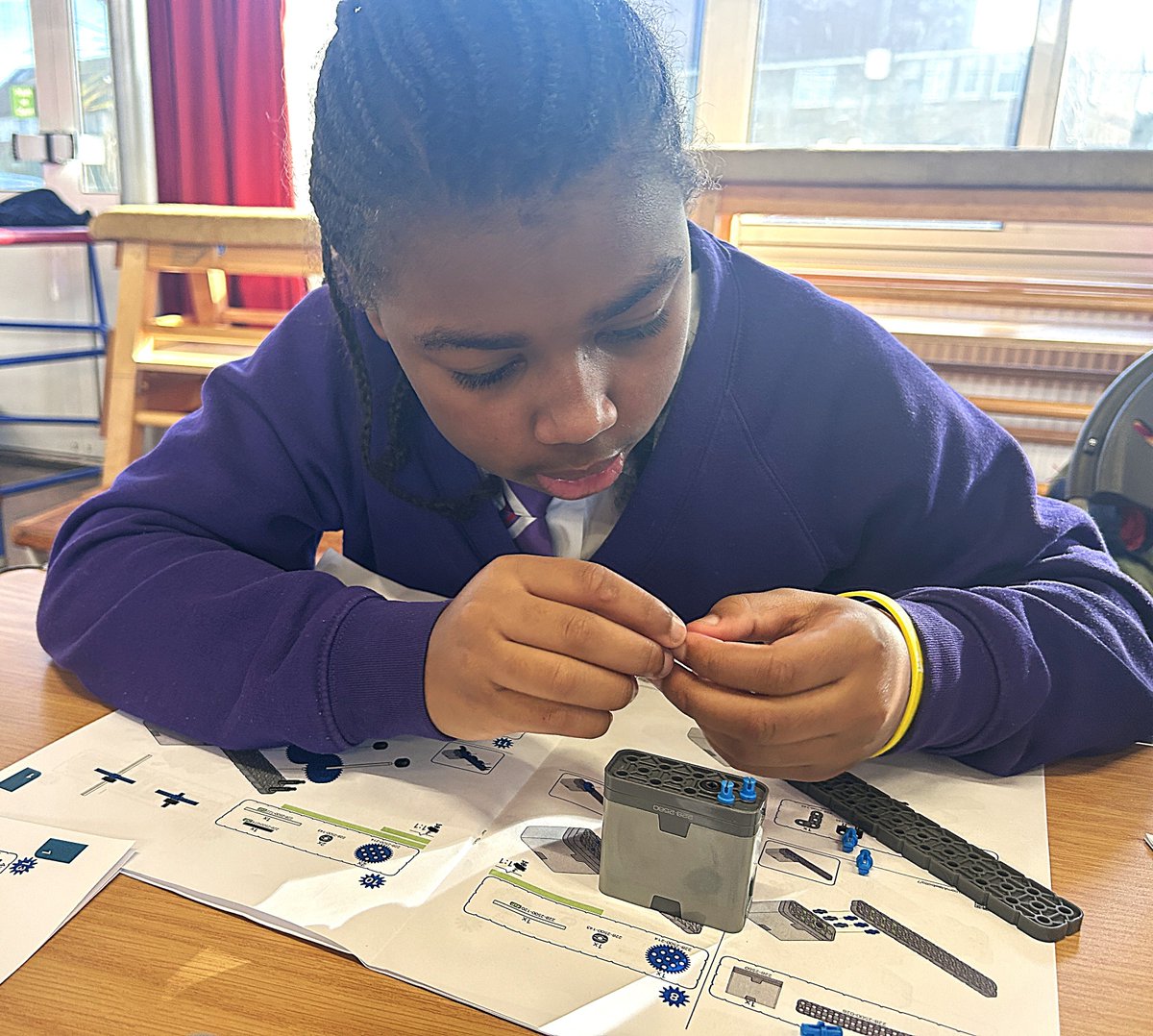 Woodpecker Hall tweet media