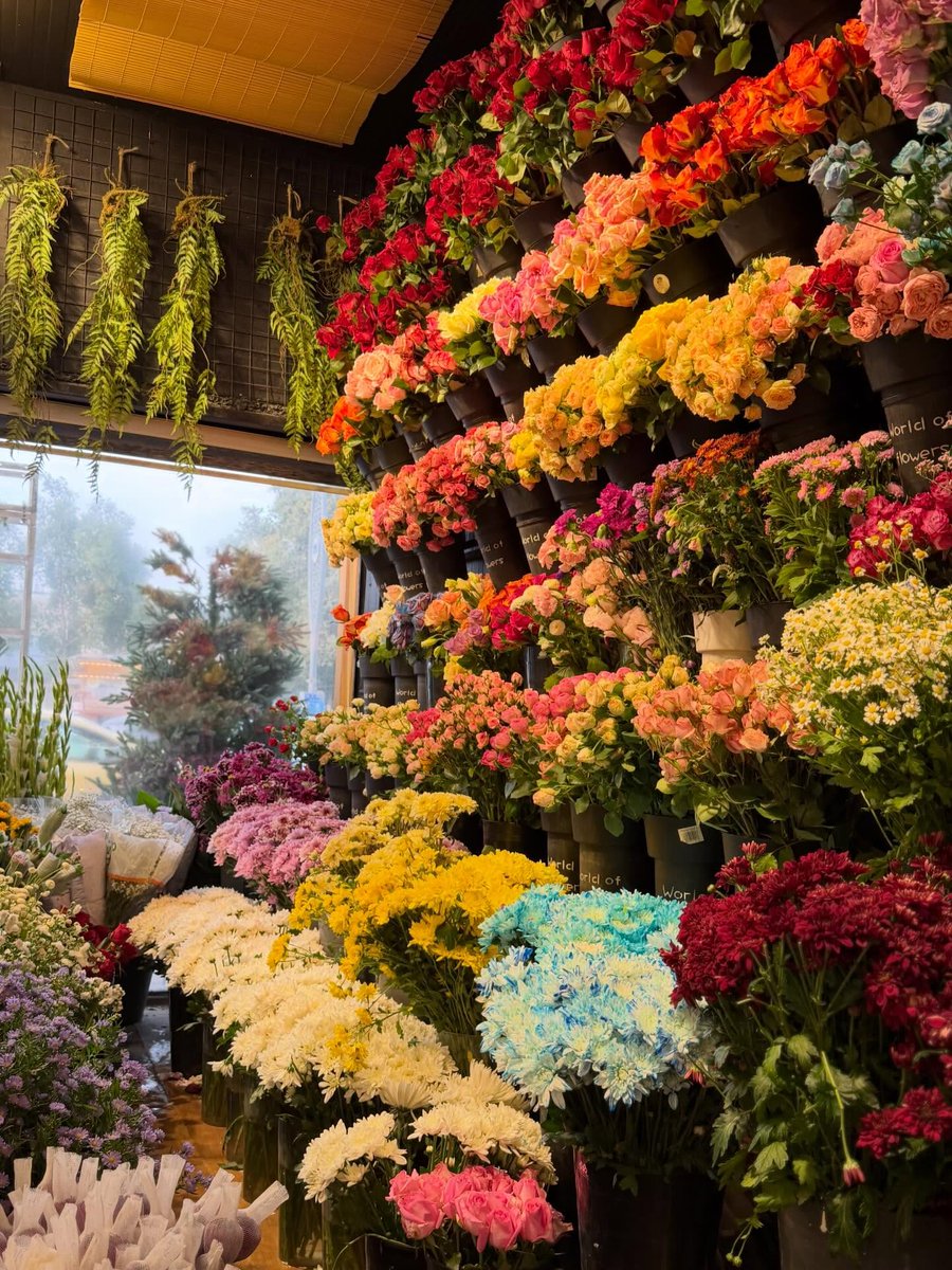 bloomifyyy's tweet image. 