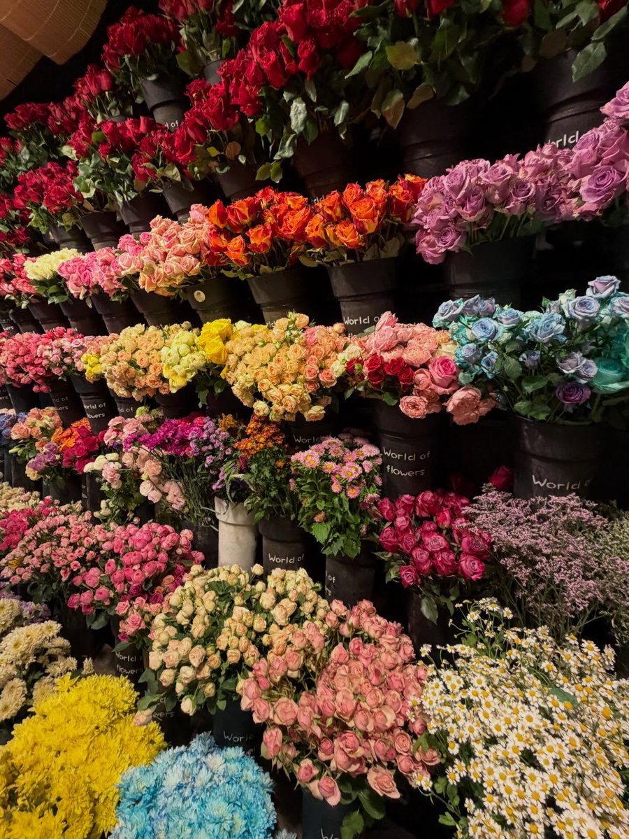 bloomifyyy's tweet image. 