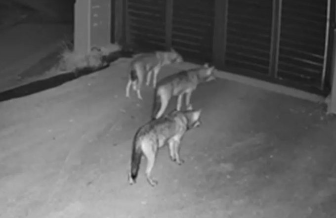 ₯ AlexV tweet media