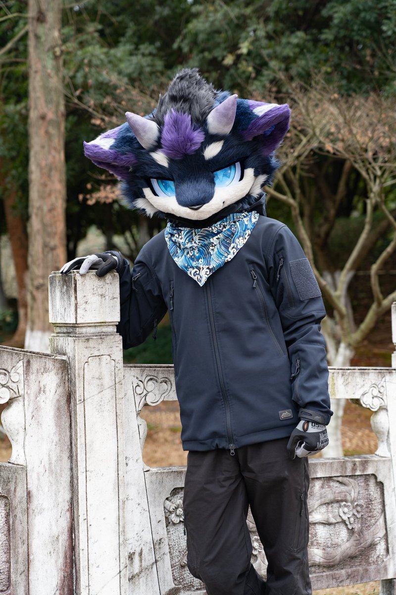 星海StO tweet media