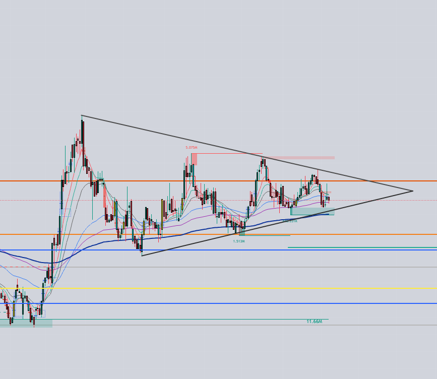SessizBorsacı tweet media