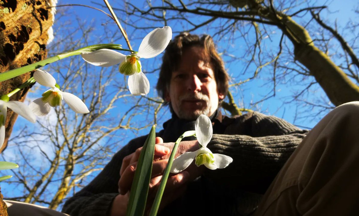 DarkMountainProject tweet media