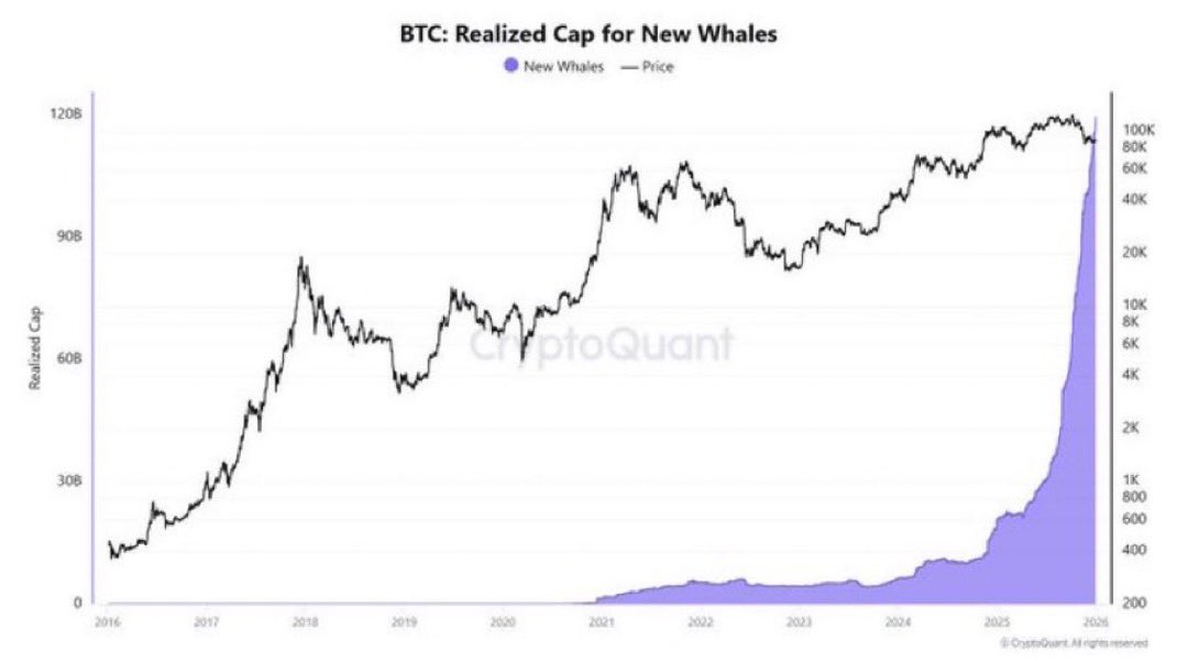 Gozek382's tweet image. WHALES ARE BUYING BITCOIN LIKE NEVER SEEN BEFORE

SOMETHING IS COMING BIG TIME 🚀