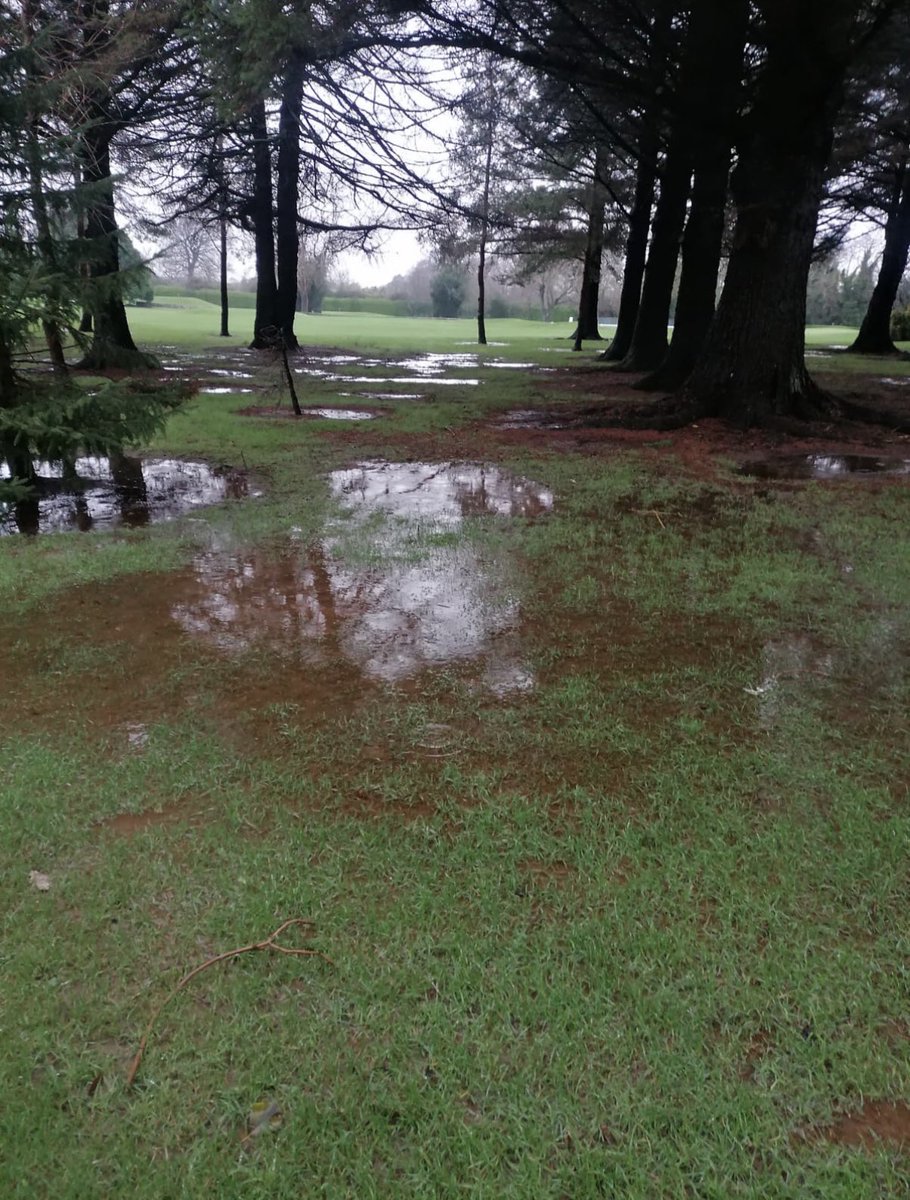 Edmondstown Golf Club tweet media