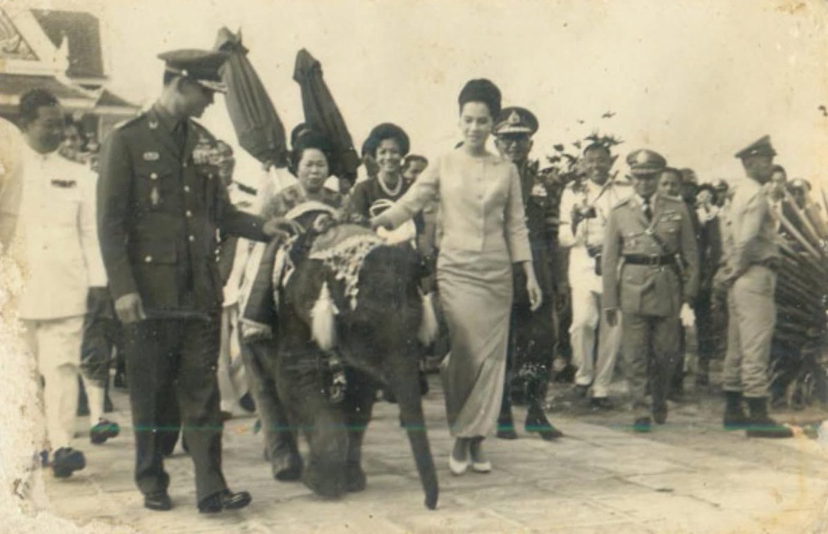 “…ช้างป่าควรอยู่ในป่า เพียงแต่ต้องทำให้ป่านั้นมีอาหารช้างเพียงพอ การปฏิบัติคือ ให้ไปสร้างอาหารช้างในป่าเป็นแปลงเล็กๆ และกระจาย กรณีช้างป่าออกมาที่ชายป่า ต้องให้ความปลอดภัยกับช้างป่า…”

พระราชดำรัสพระบาทสมเด็จพระบรมชนกาธิเบศร มหาภูมิพลอดุลยเดชมหาราช บรมนาถบพิตร