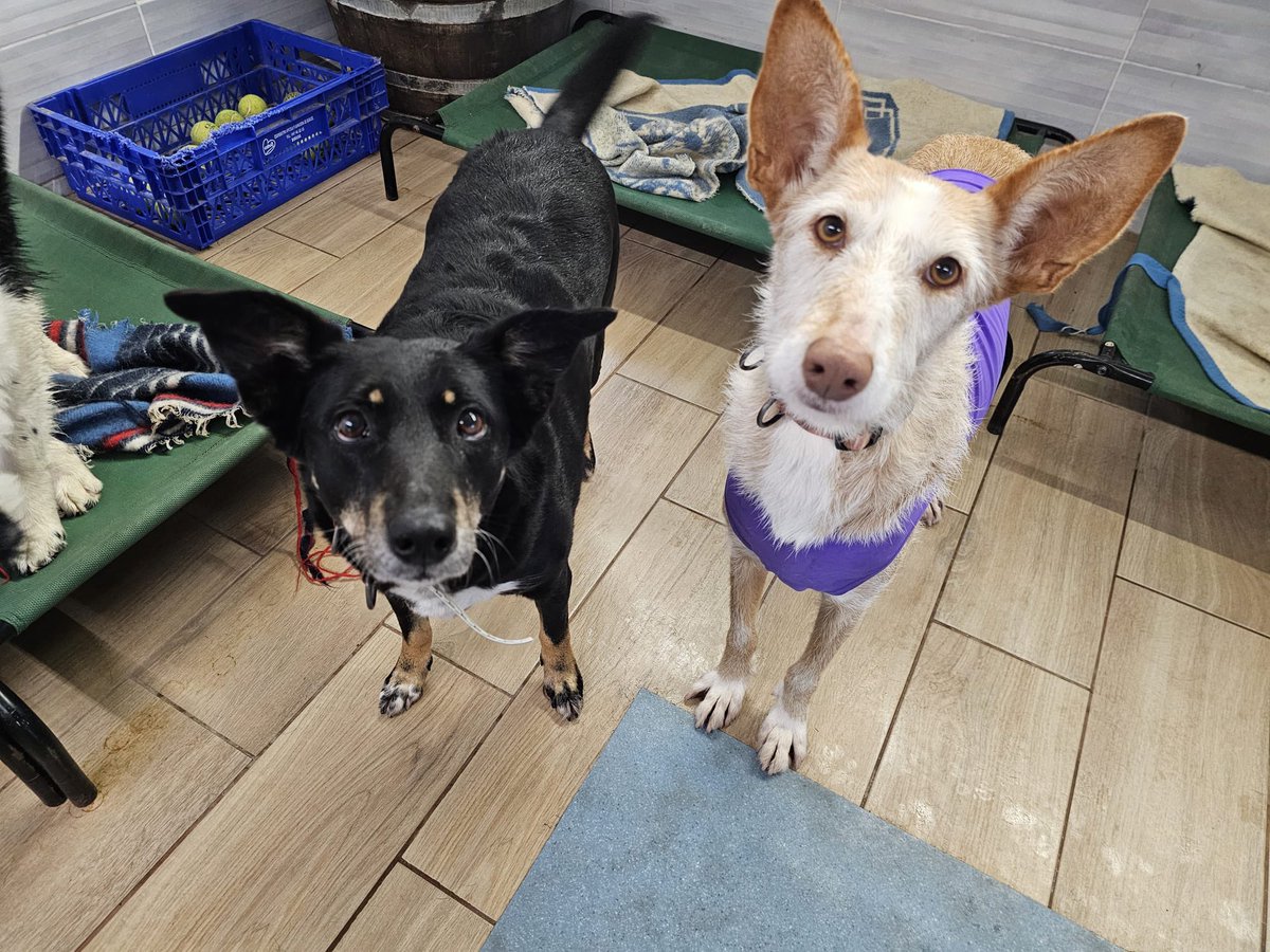 ᑭᏞᗩᑎᗴᎢᗩ Ꮓᗩᖇᑭᗩ tweet media