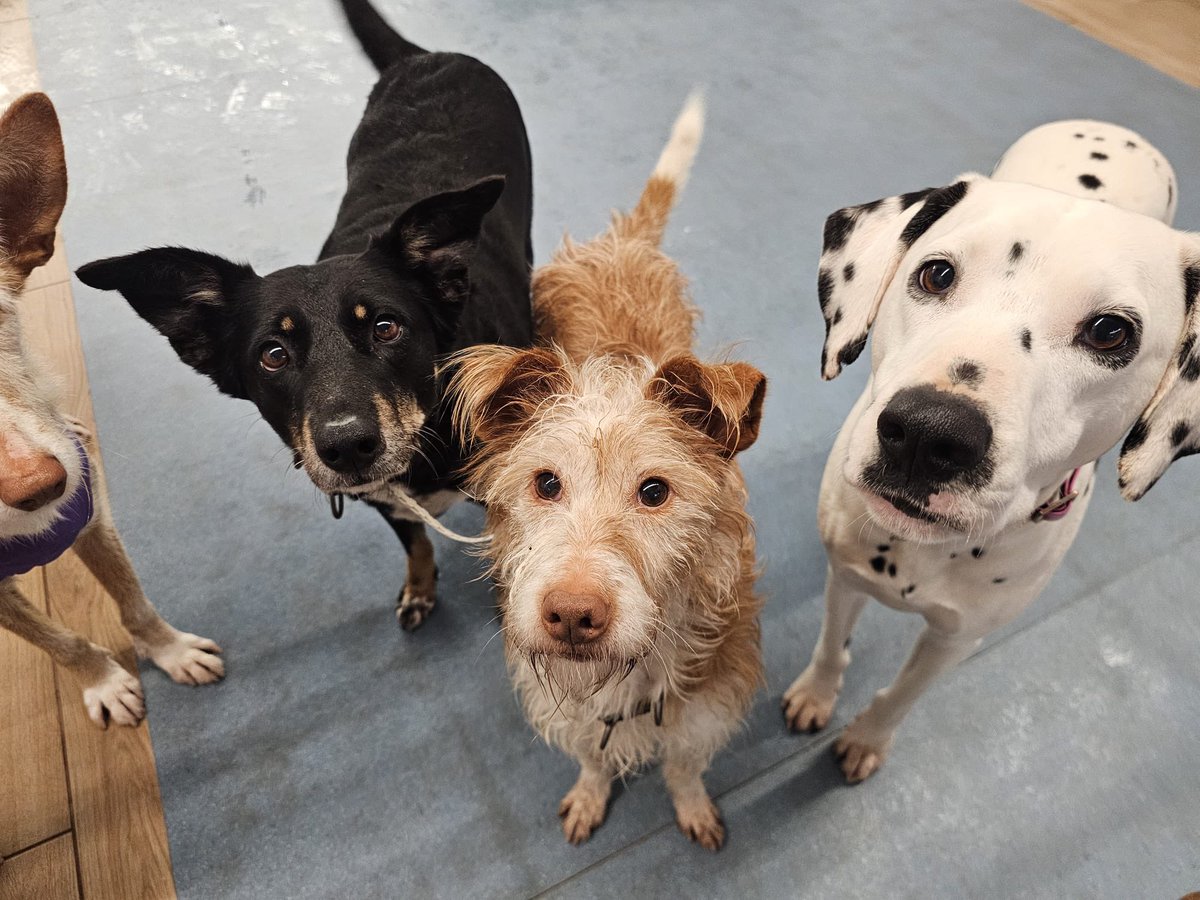 ᑭᏞᗩᑎᗴᎢᗩ Ꮓᗩᖇᑭᗩ tweet media