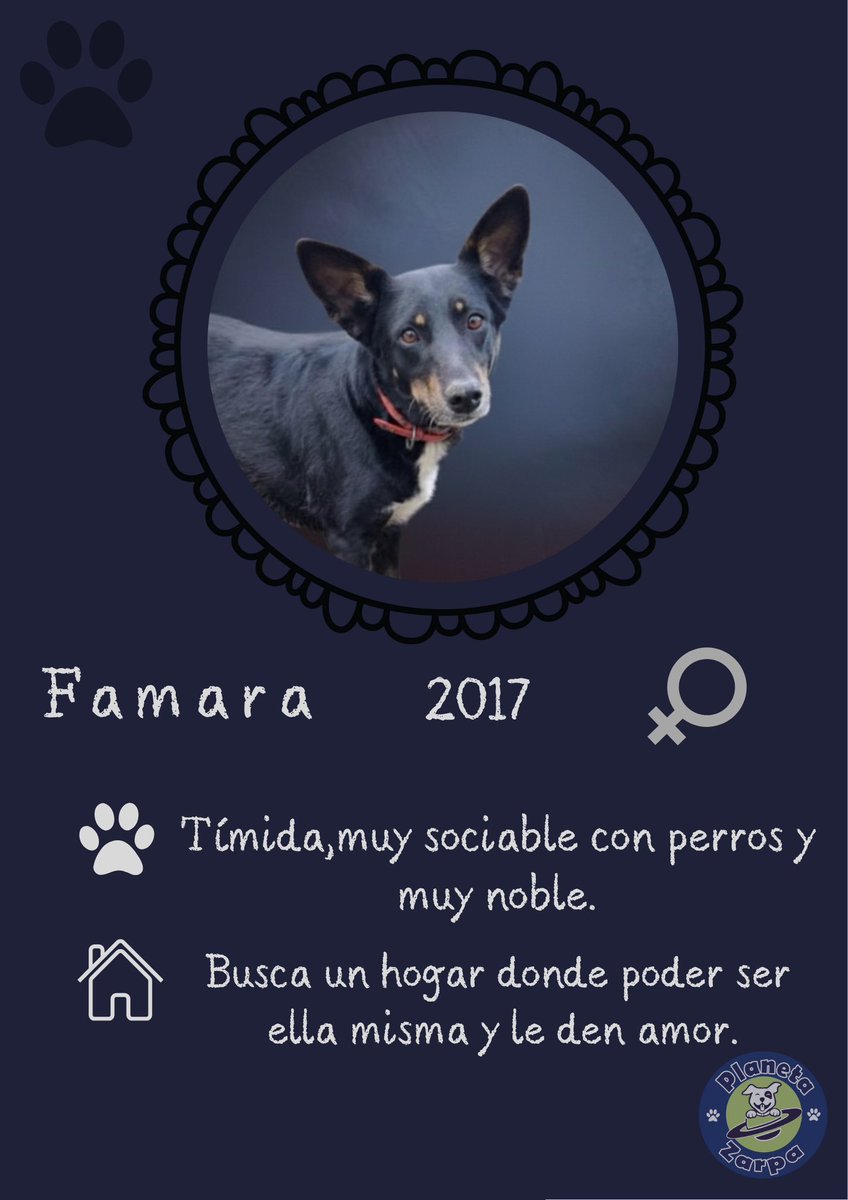 ᑭᏞᗩᑎᗴᎢᗩ Ꮓᗩᖇᑭᗩ tweet media