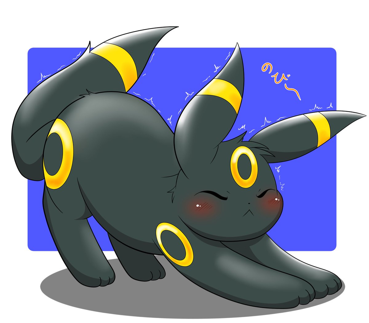 起きたてブラッキーさん🌙