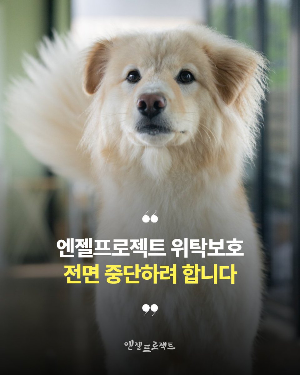 눈누난나❤(사)엔젤프로젝트 tweet media