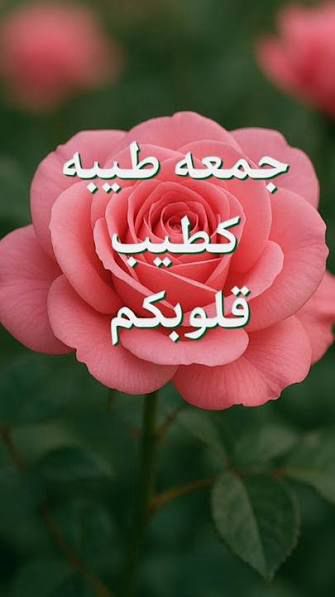 حسن رسول القطري tweet media