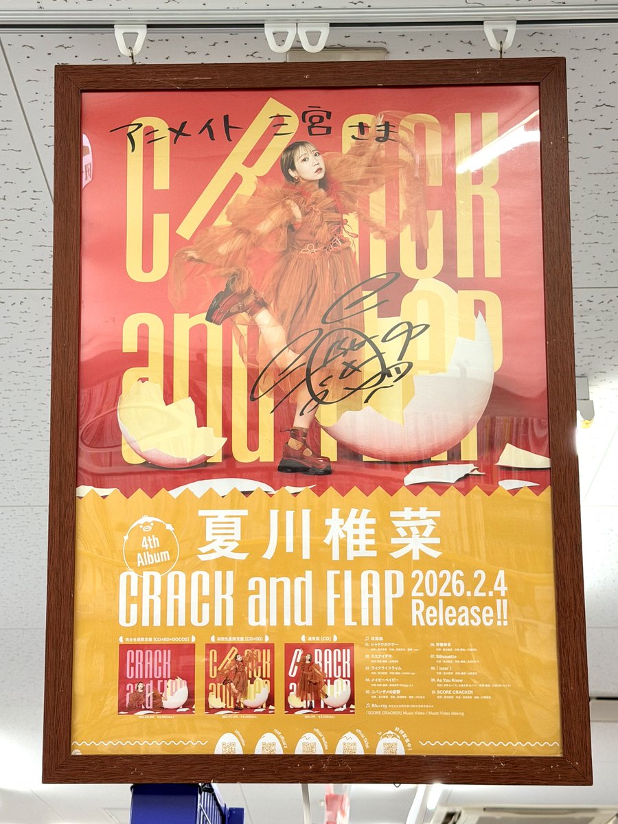 アニメイト三宮店さんでCRACK and FLAPのサイン入りポスターを撮影