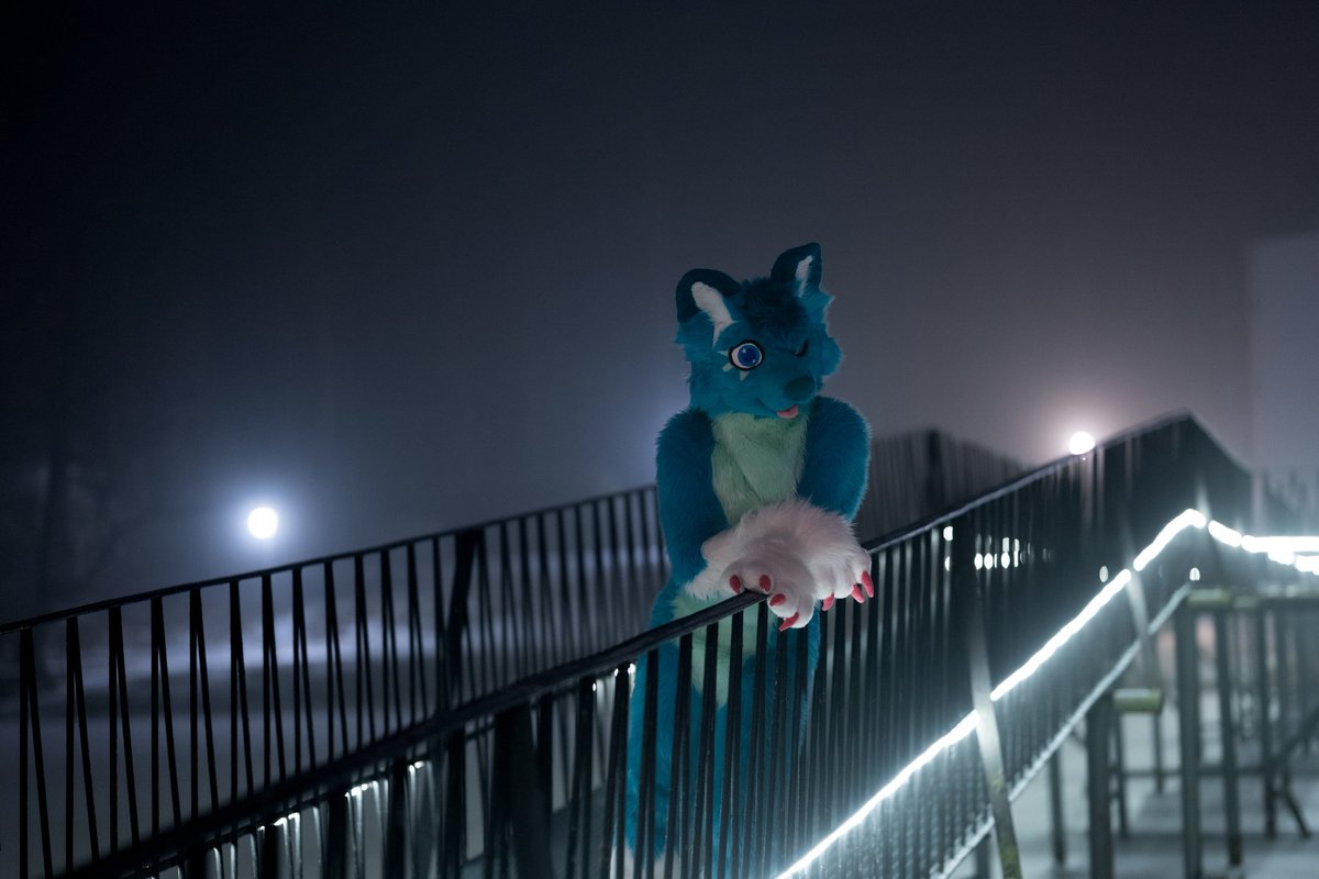 mato_husky tweet media