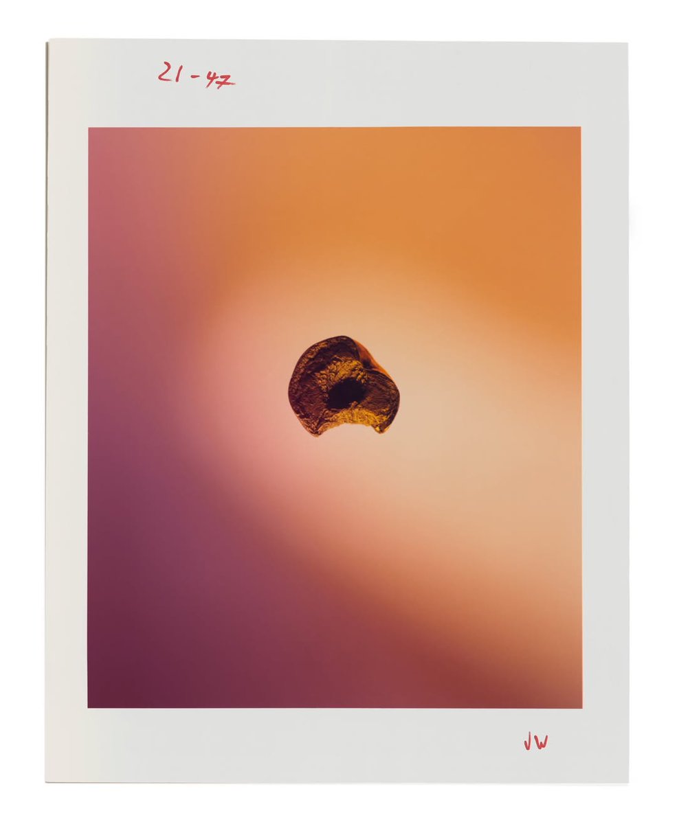JW Anderson × Luca Guadagnino
Bronze peach paperweights by Alice Andrea Ewing 

Hand-poured Solid Bronze Peach Paperweights. Ideated by Jonathan Anderson and Luca Guadagnino, created through the artist Alice Andrea Ewing’s Pomarius studio.