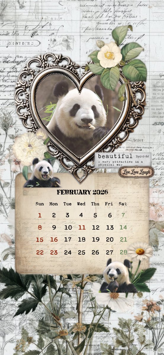 24noname24's tweet photo. 🐼自分用のおすそ分け🐼
今月のカレンダーです
良かったら使ってね🫶
(個人使用の範囲で┏○ﾍﾟｺ)

バレンタインも近いので
リーリー💓シンシン
ふたりに会いたいなあ(´；ω；｀)

パンダちゃんに会いたい😭

 #カレンダー配布  #リーリー  #シンシン  #比力  #仙女  #パンダ  #大熊猫 https://t.co/KMcqd7mzfp