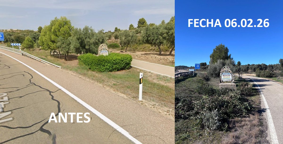 TE_BajoAragon's tweet photo. 1) No había rotonda 
2) No había problema de visibilidad 
3) El seto no lo cortaron ni lo cambiaron de ubicación. 
4) El seto se acaba de podar como se hace como parte del mantenimiento habitual 
5) Si realmente consideráis que eso es resolver un "problema" para Calaceite... https://t.co/vOjDrJj7ag