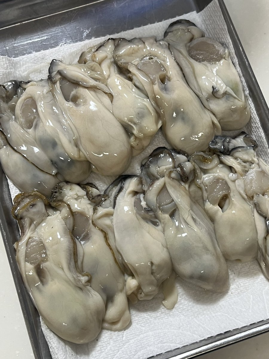 ピンクボトル浮世絵ラベル臥龍梅🍶
香りはボトルに引っ張られて桜香🌸
甘味は控えめで酸味がキリリ。キレよくてスッキリ。脂分をキレイに洗い流してくれるお酒🍶
呑み過ぎちゃうヤバイよヤバイよ〜
美味しい☺️
手羽中唐揚げ、牡蠣ニンニクバター焼🦪
#臥龍梅 #純米吟醸 #静岡県静岡市清水区 #三和酒造