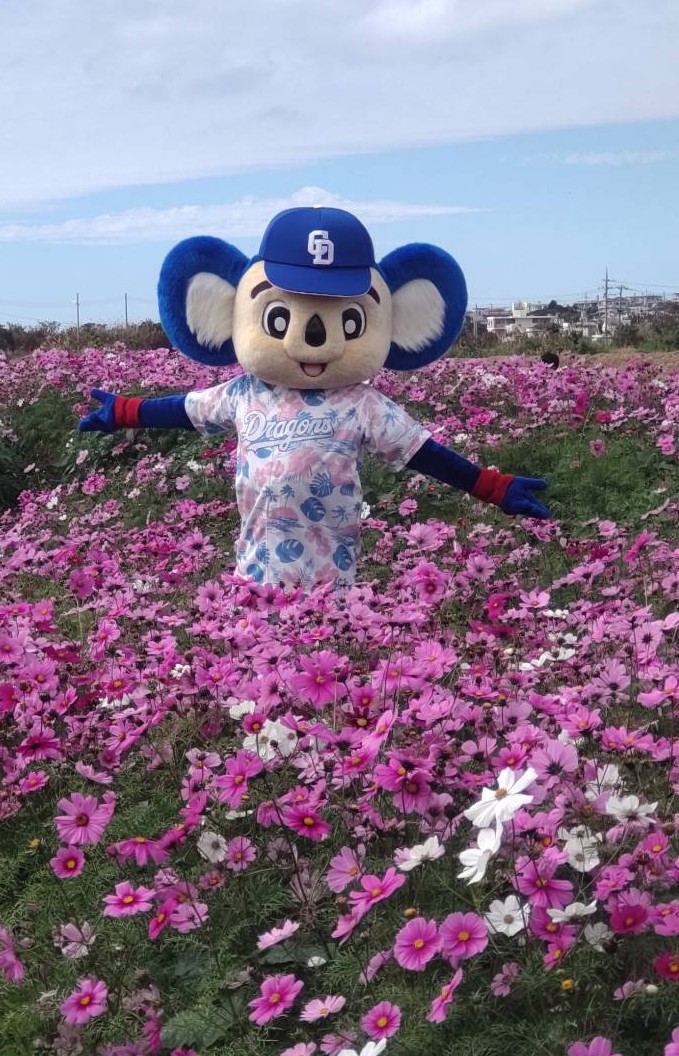 オキハム（この島の美味しいを、100年先も。） tweet media