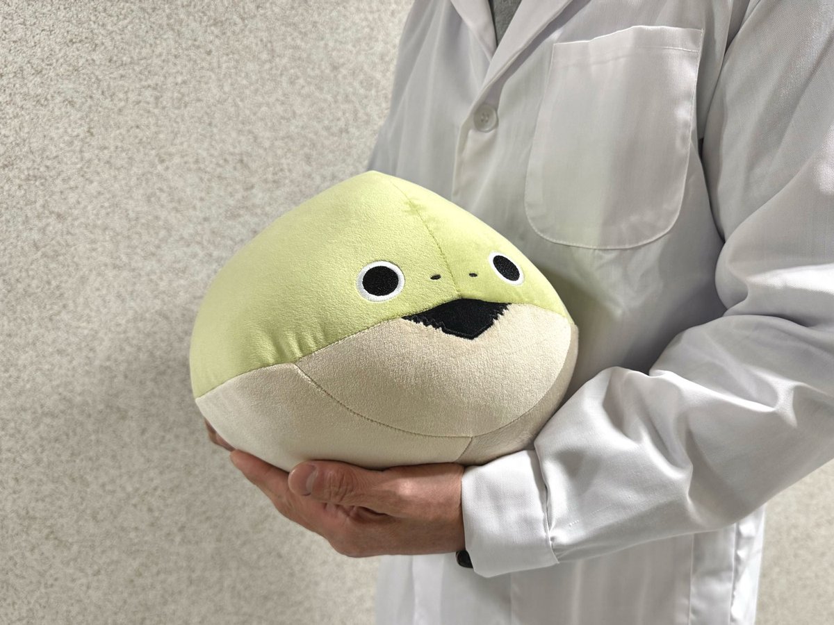 研究員のみなさまー！今週もおつバスピでございます！！🫡
本日、なんと！大きな大きなバスピの大群が、研究本部にやってまいりました！！！
バスピをこの両腕で抱えられるこの日が来ようとは…🥹
ポップアップにて元気な姿でおむかえしていただけるよう、ただいま水合わせ中でございます！