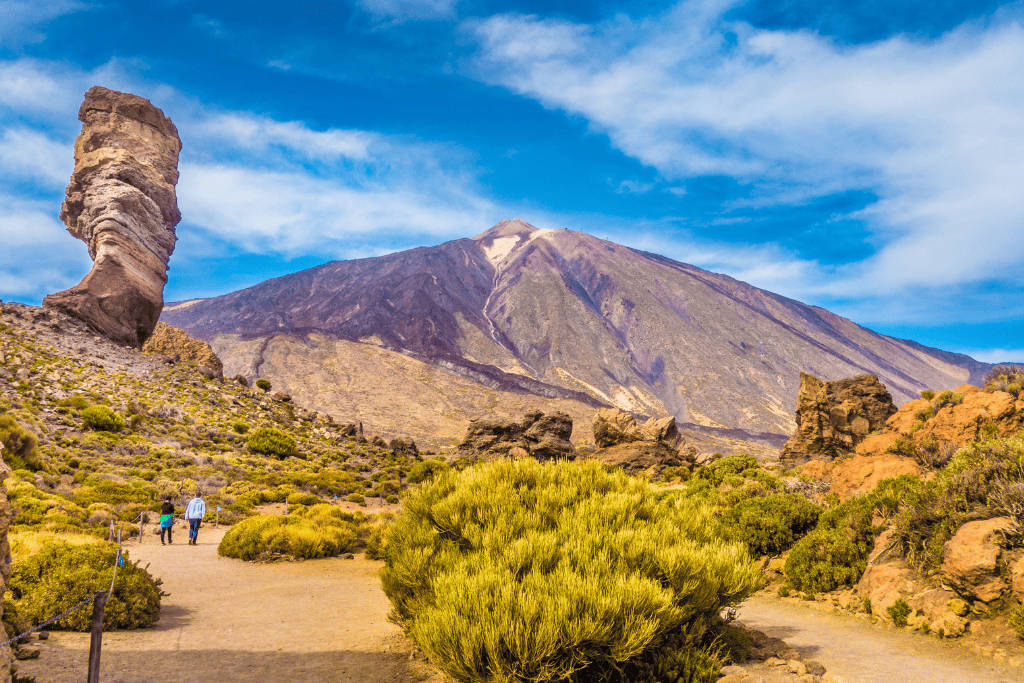 Nieve, ciudades con encanto, gastronomía reconfortante o sol eterno.

Descubre los 6 destinos de España que triunfan en invierno y vive la temporada más mágica del año con Paradores.

👉 Más información: paradores.es/es/blog/seis-d…