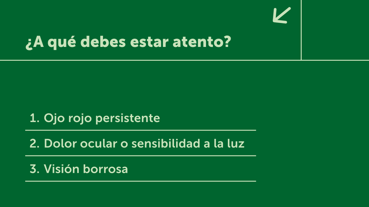 Reuma_hoy's tweet image. Tu #reumatólogo no solo mira tus huesos. 🦴👁️ En la #EspondiloartritisAxial, los ojos también pueden inflamarse. Descubre en este post por qué el #oftalmólogo es clave en tu tratamiento.

💬 ¿Alguna vez tu reumatólogo te ha preguntado por tu vista? Cuéntanos tu experiencia. 👇