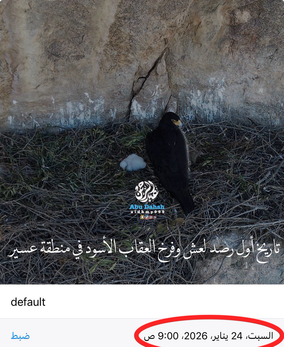 عبدالرحمن ابوداهش tweet media