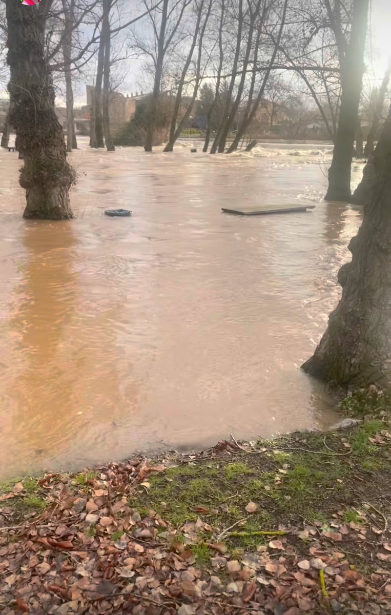 El río Duero sigue aumentando su caudal y está desbordado en gran parte de la provincia.