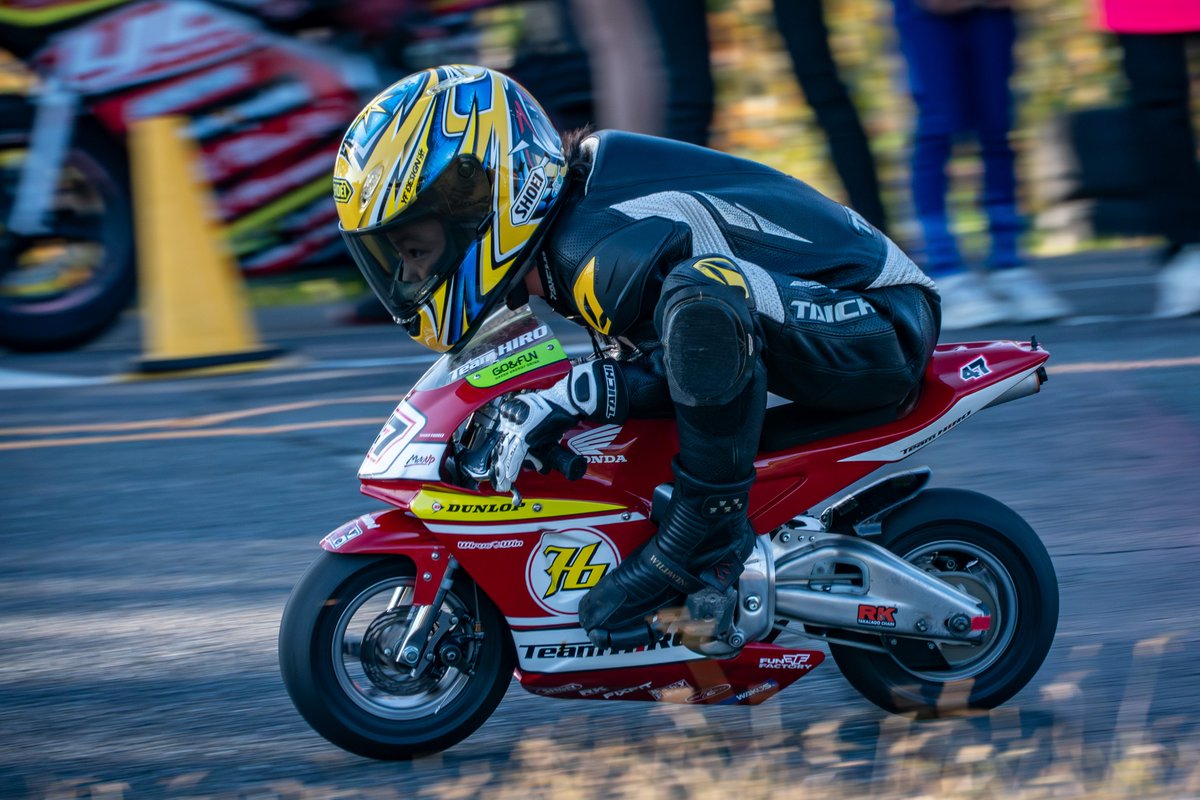 Thomas Ferreira tweet media