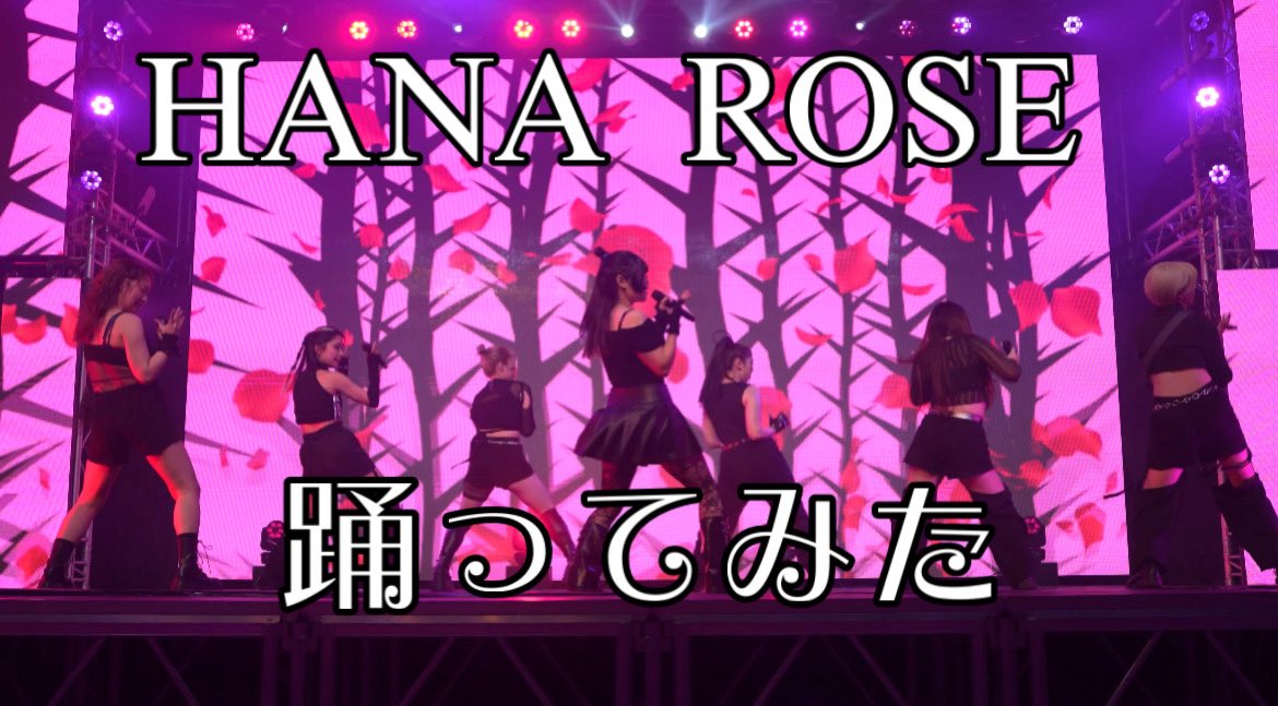 ぴょん子🐰💎💗 (@mirotic1231) / Posts / X