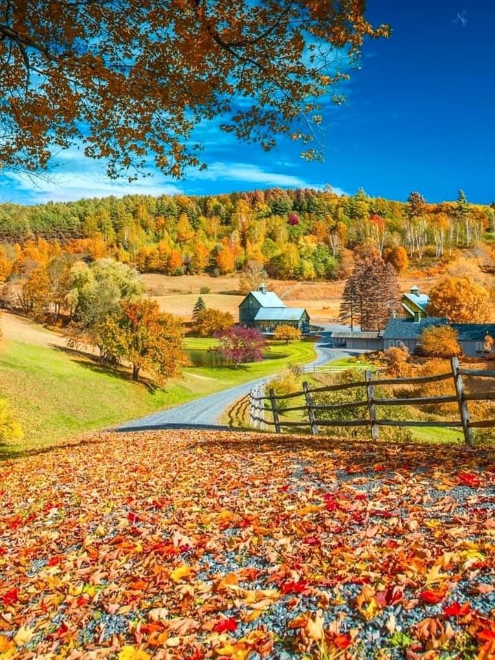 𝓐𝓵𝓲 tweet media