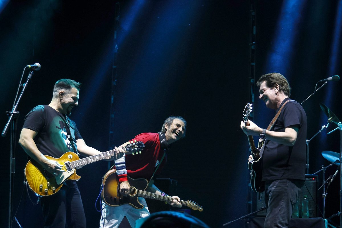 Niko🐾 tweet media