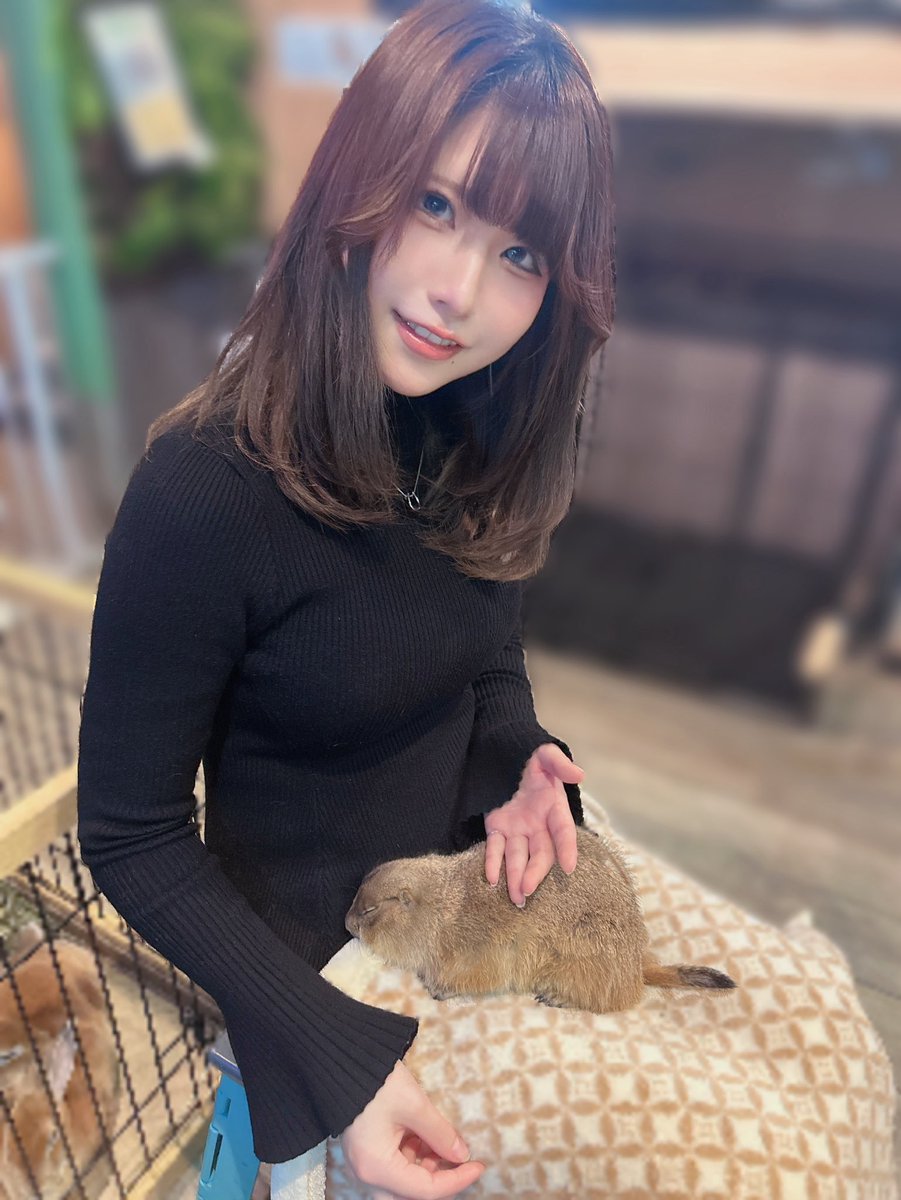 こふく (@kofuku_SWDN) / Posts / X