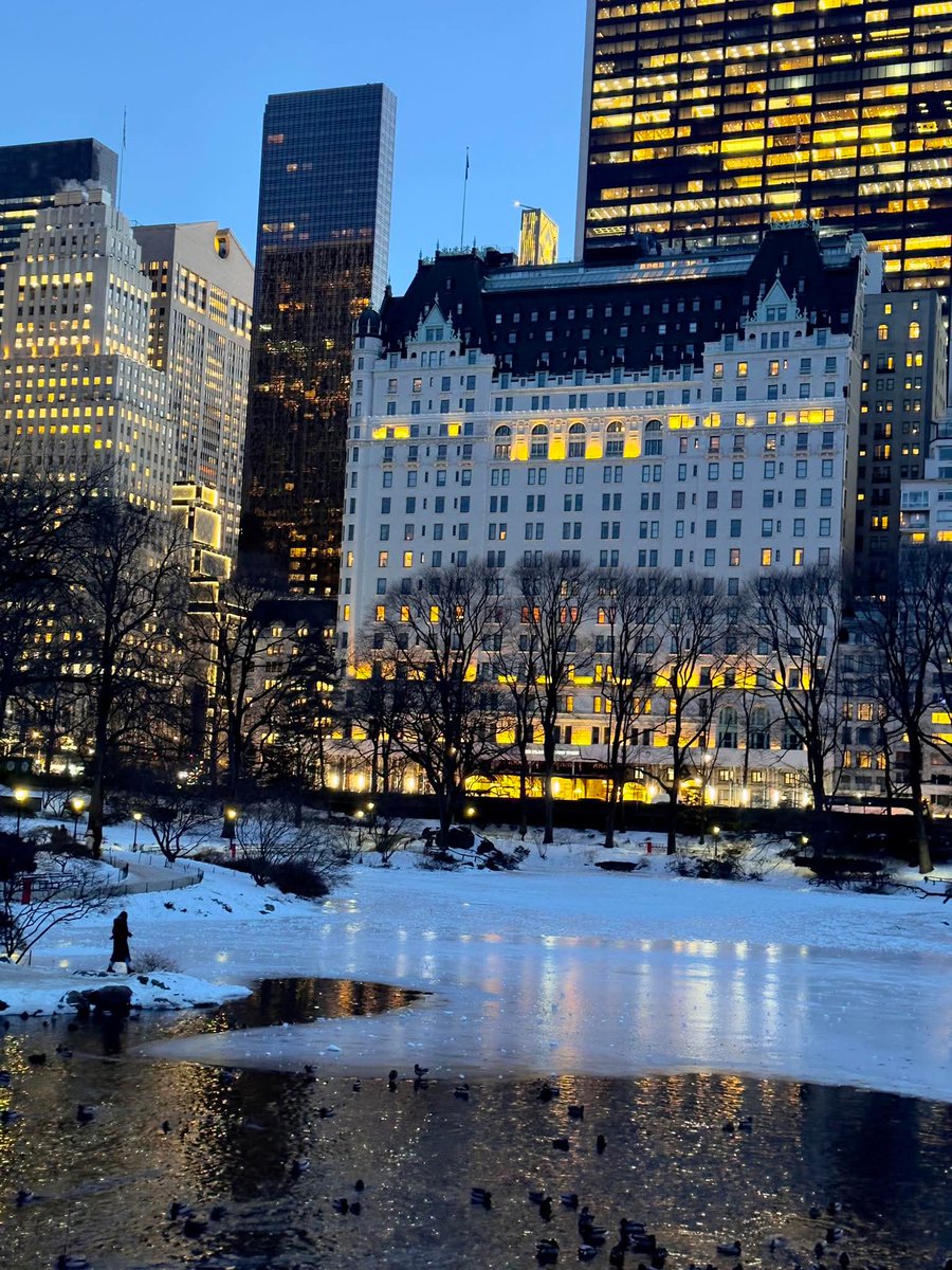 CityScapesNC's tweet photo. Central Park, New York https://t.co/csXfN4xiAc