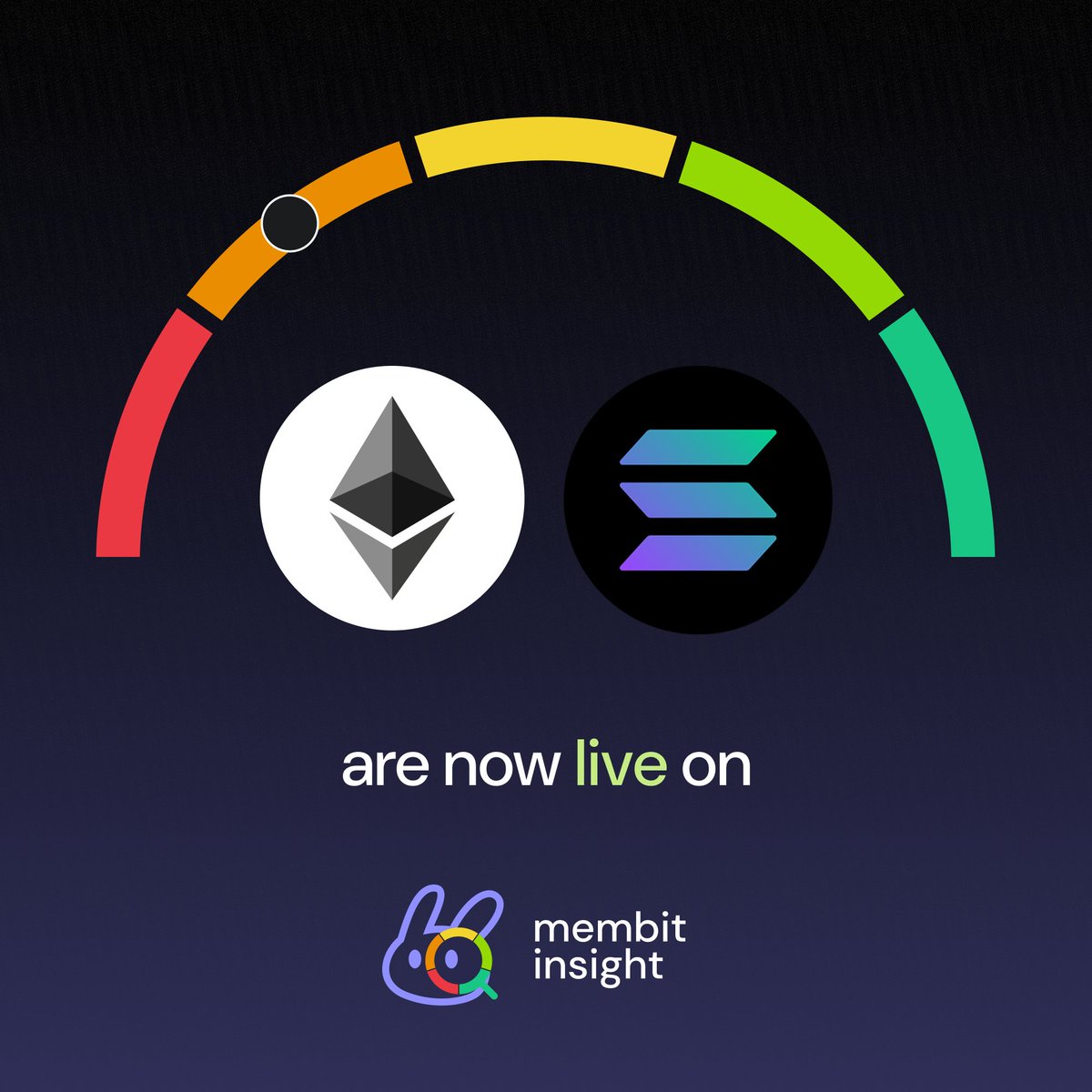 Membit 🐰 tweet media