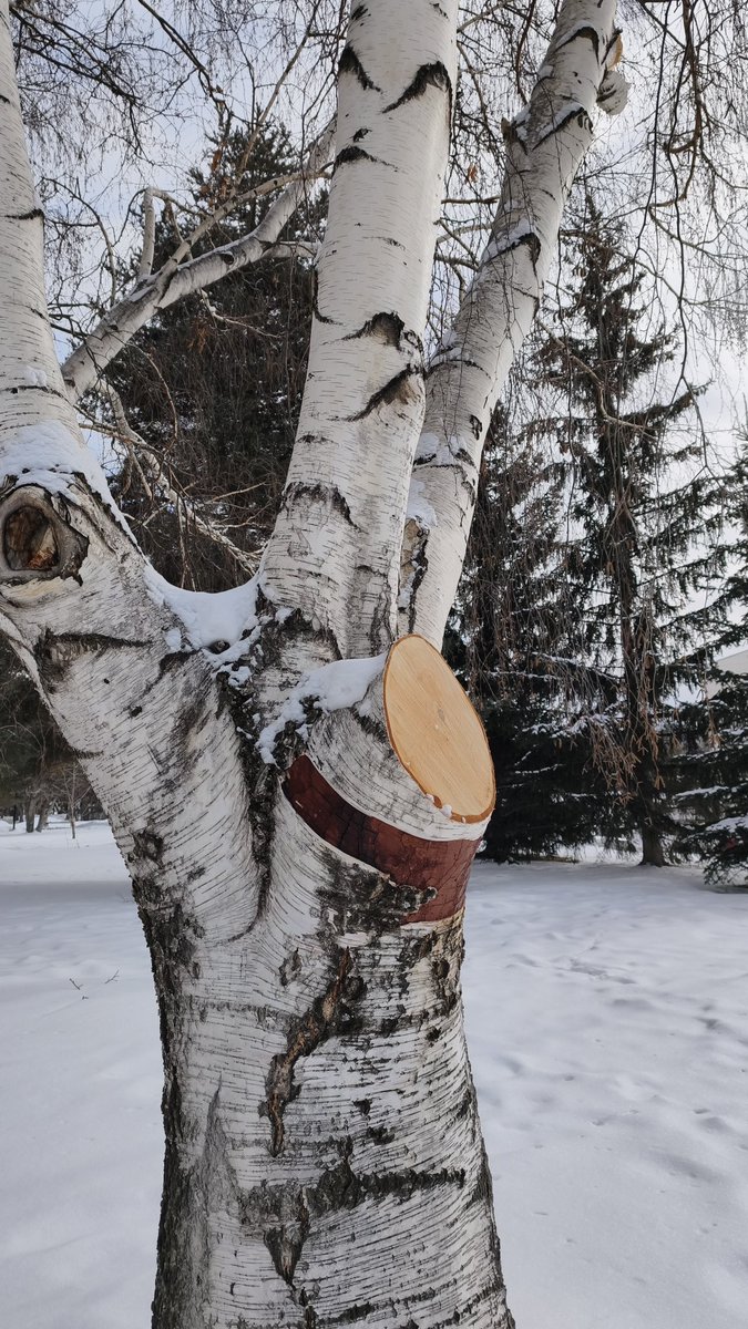 "Bir kitap ne kadar hüzünlü olursa olsun bir hayat kadar hüzünlü olamaz"
Agota Kristof / Üçüncü Yalan